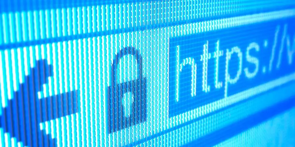 Safeguarding Your Website